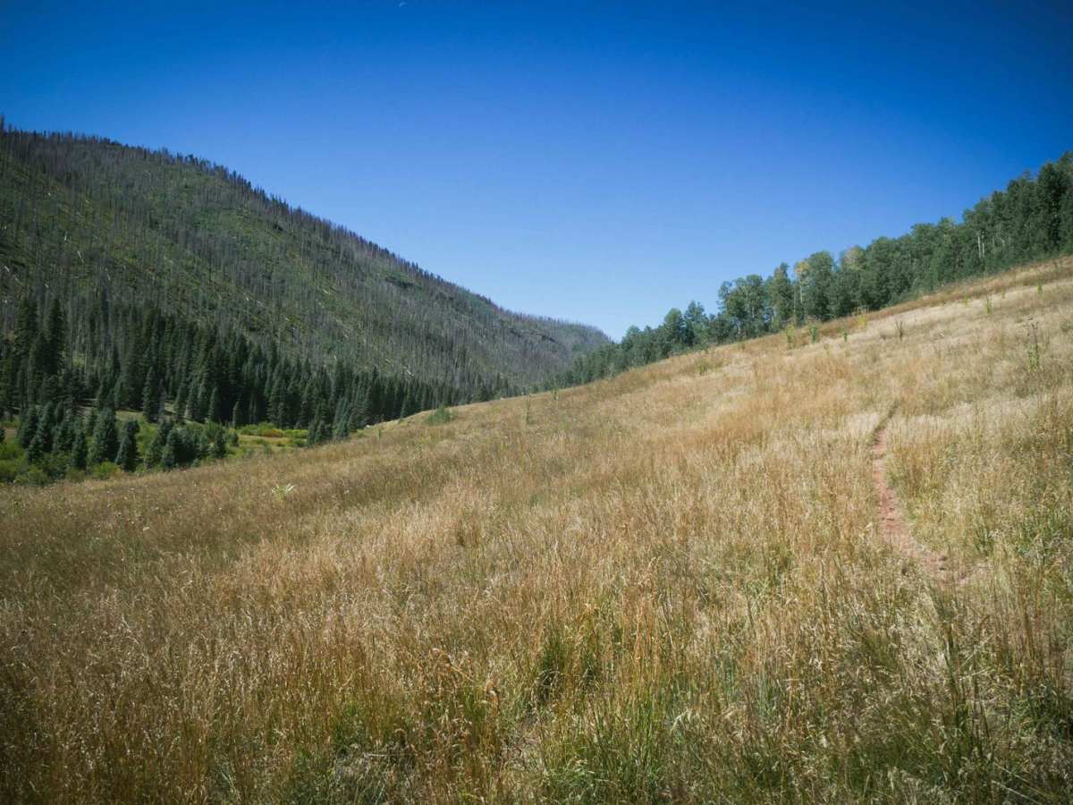 Bear Creek Trail photo 4