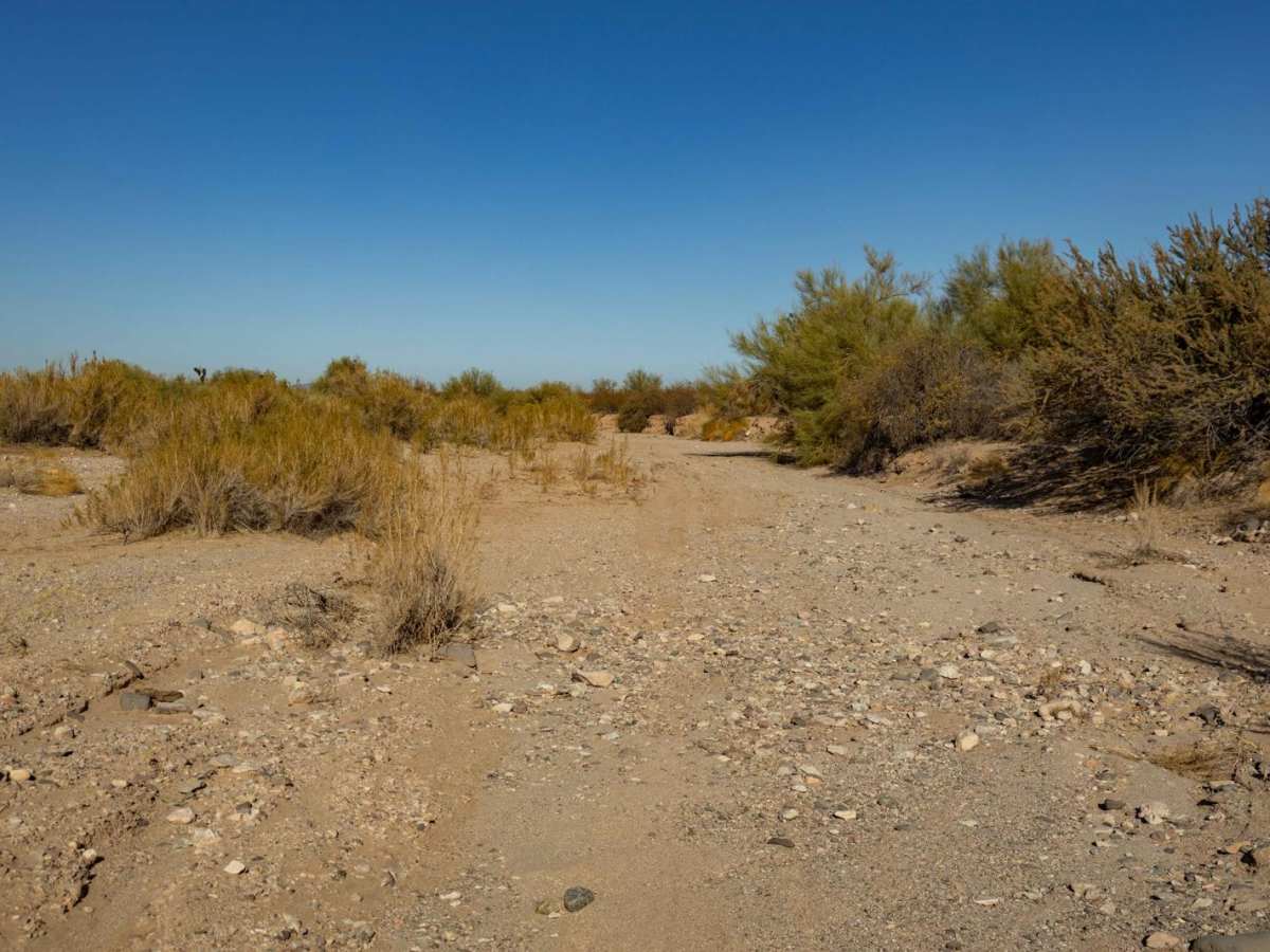 Middle Jackrabbit Wash photo 2