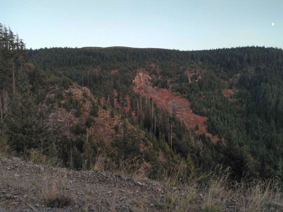 Soda Fork - 2041 photo 4