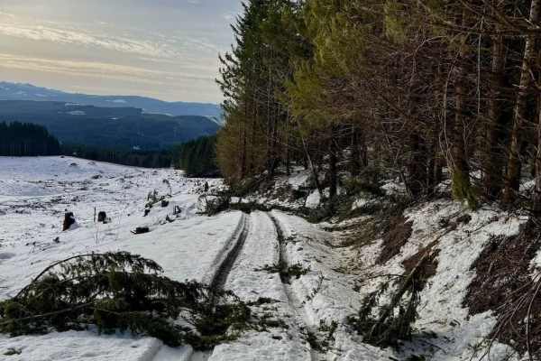 Hoffman Road