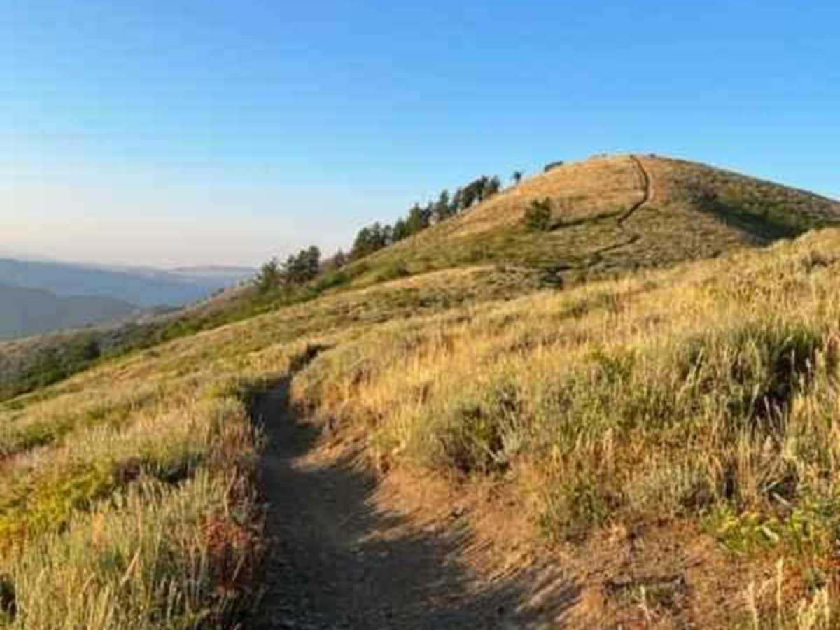 Lewis Peak (6041) trail photo