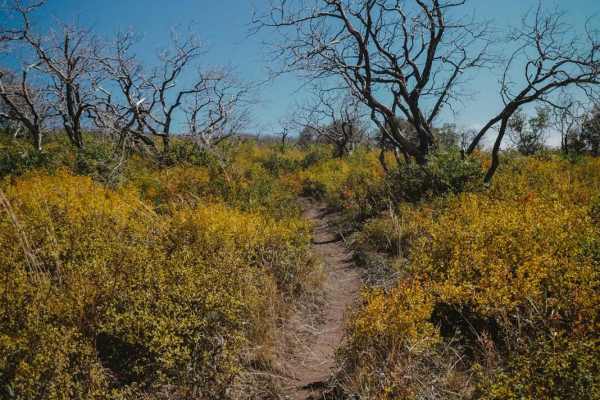 Upper Bench Trail