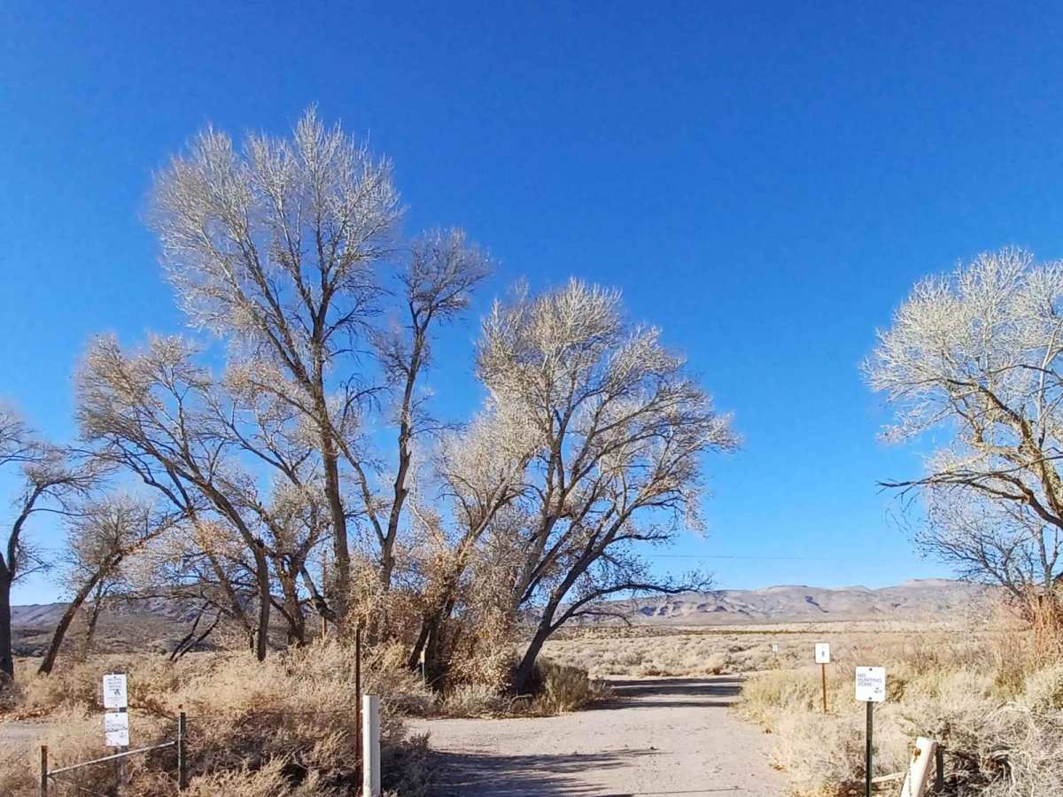 Badger Road trail photo