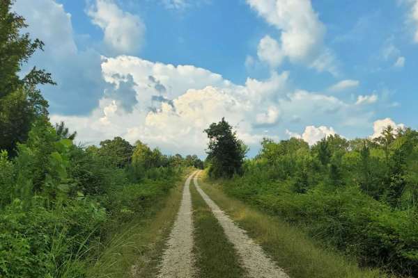 Francis Marion & Sumter National Forests Southern Adventure Route