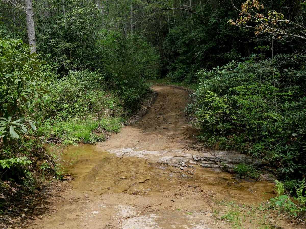 W31 trail photo