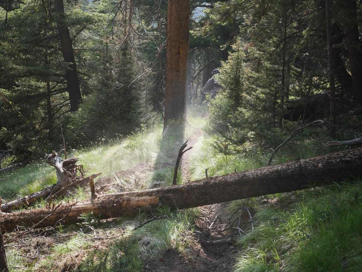 Silver Creek photo 4
