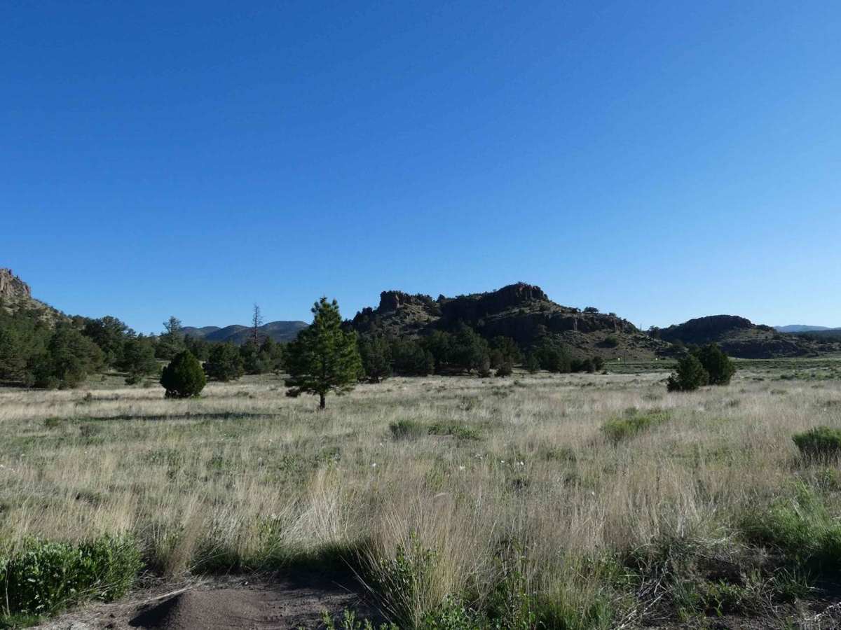 Crosby Canyon FS66 photo 4