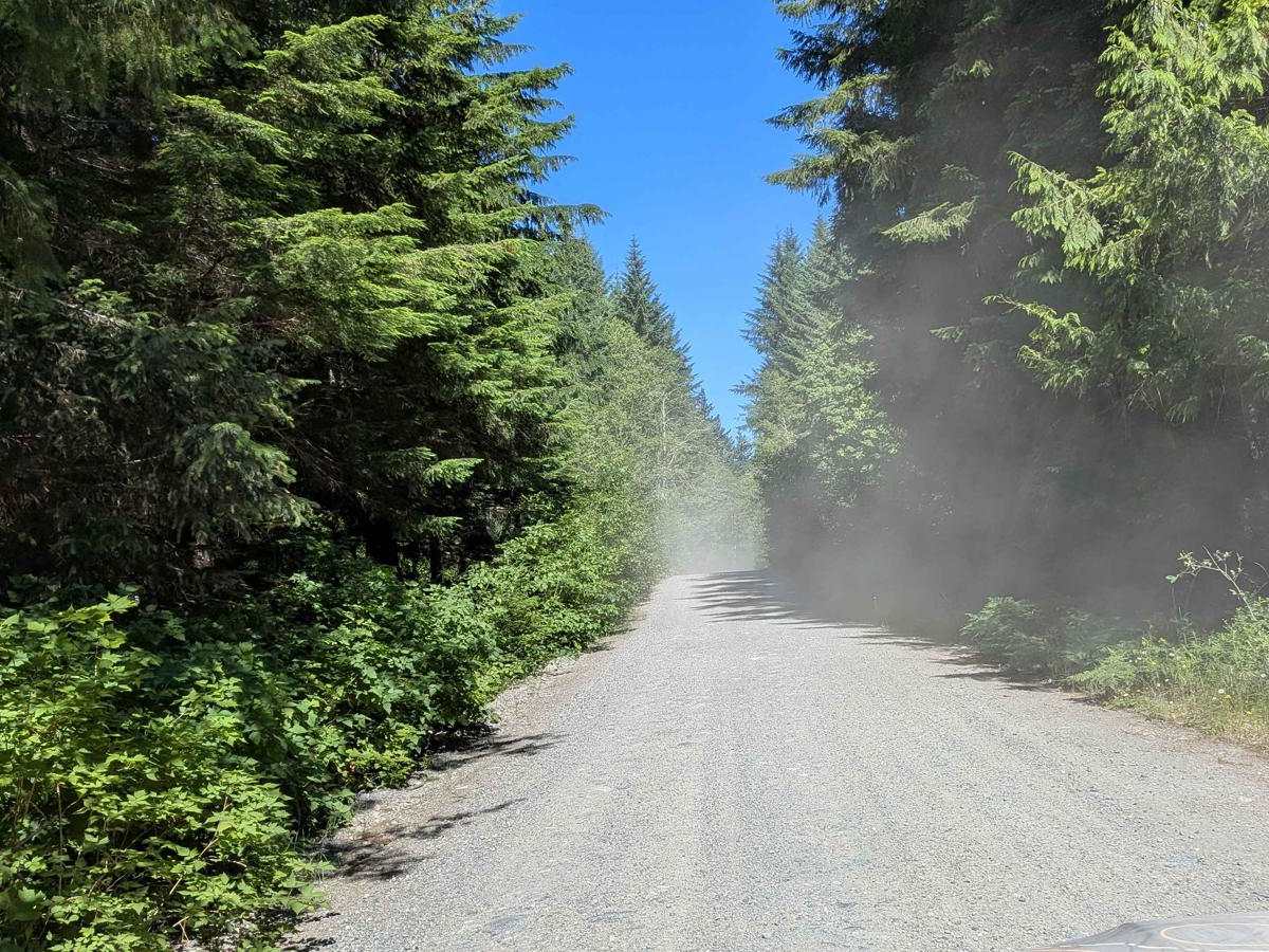 Gold River Road photo 3