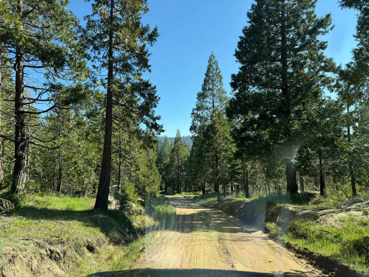 Boole Tree Trailhead photo 4