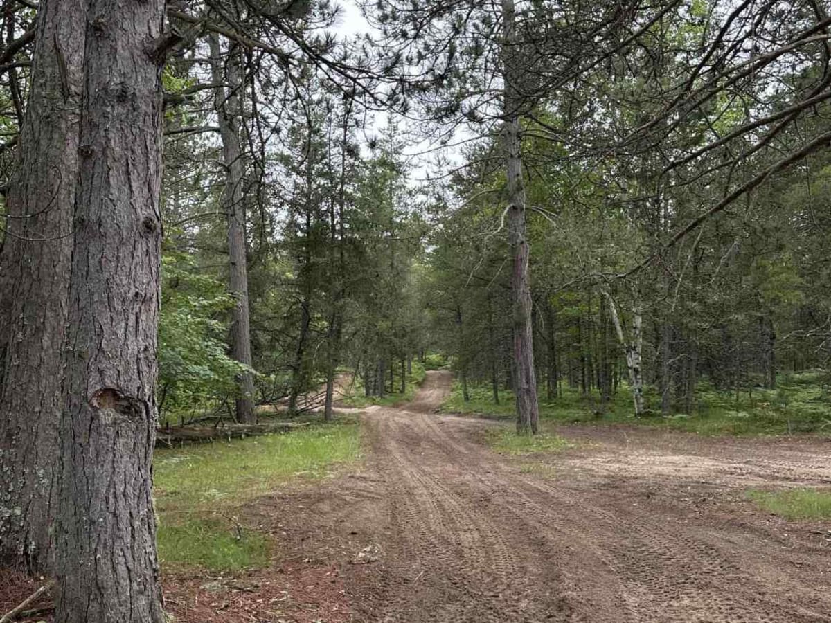West Brenaman Road trail photo