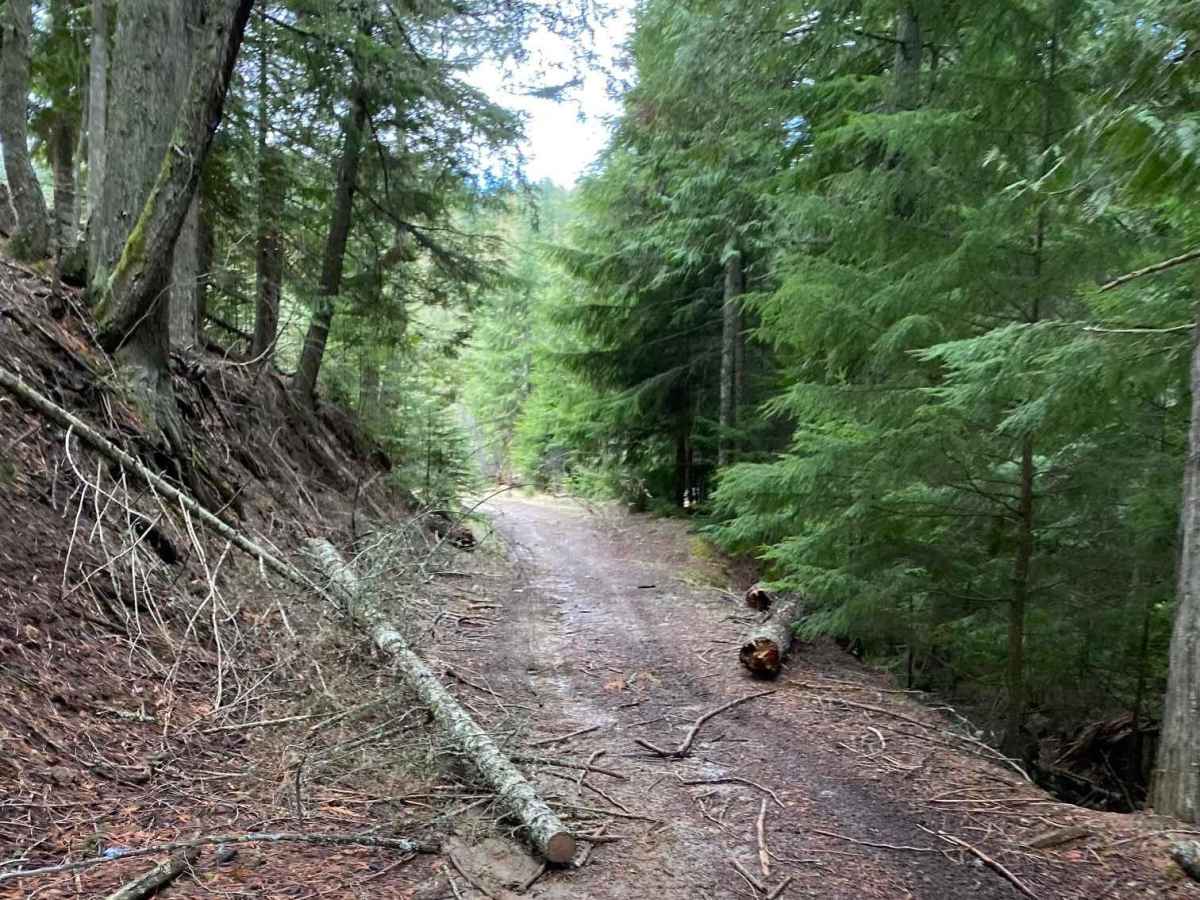 Boundary Point trail photo