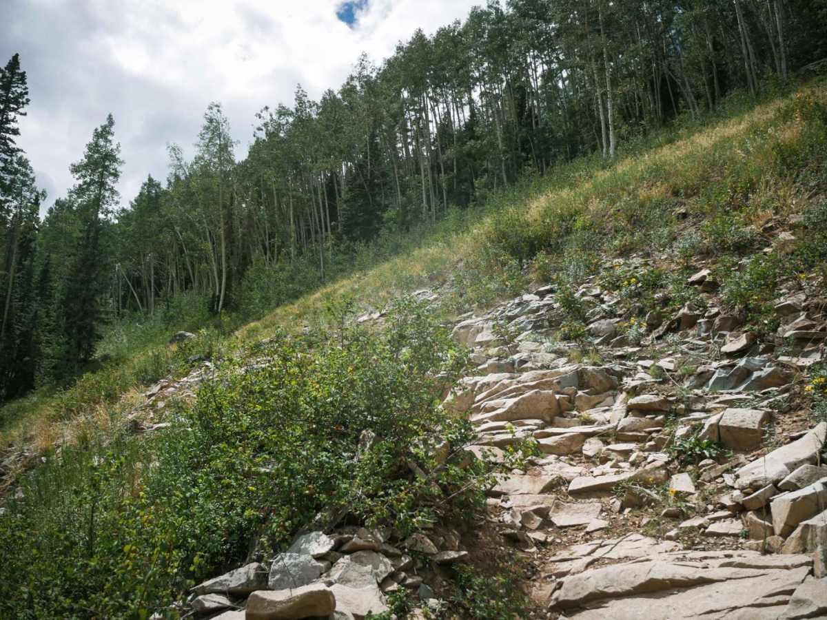 Gold Run trail photo