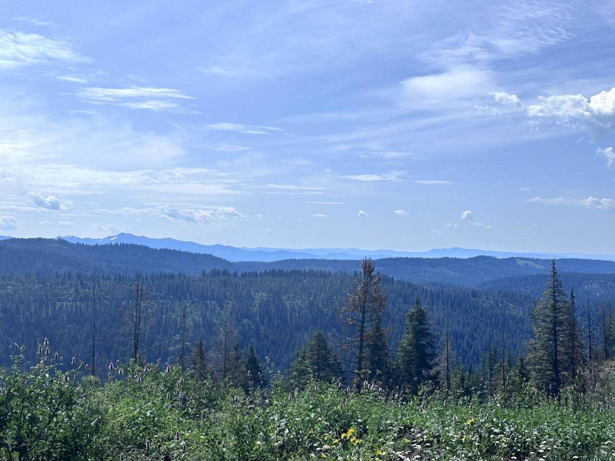 Meadows Goose Lake trail photo