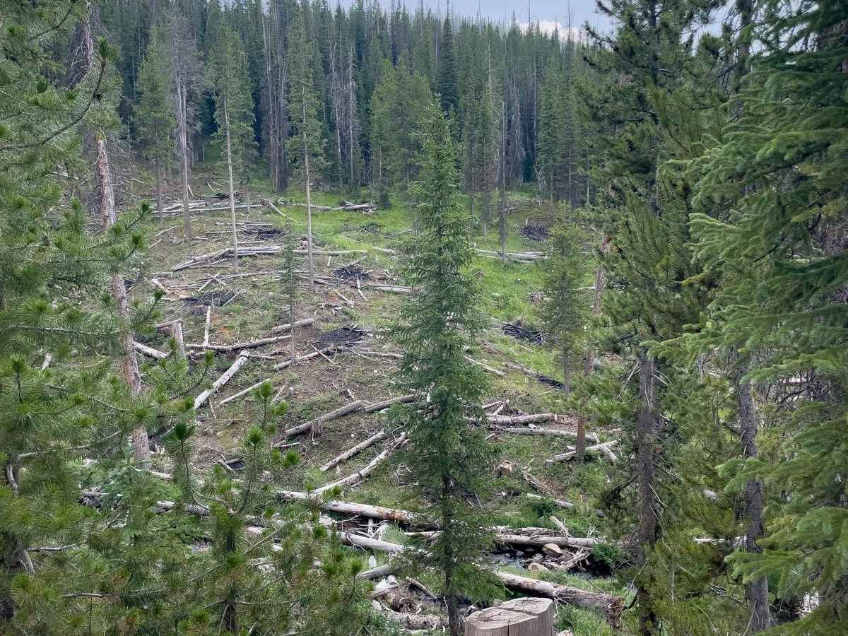 Murdock Basin - FR 80137 photo 4
