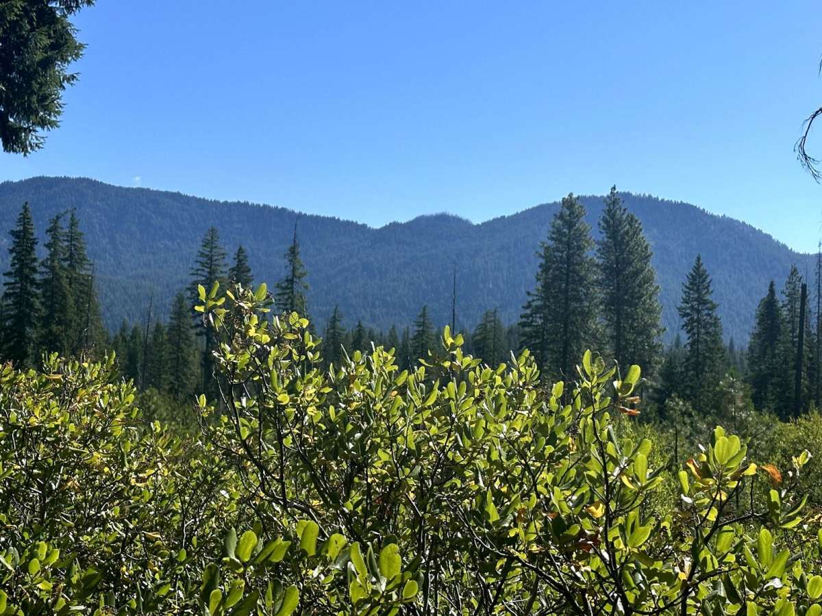 Chiwawa Loop Trail photo 2