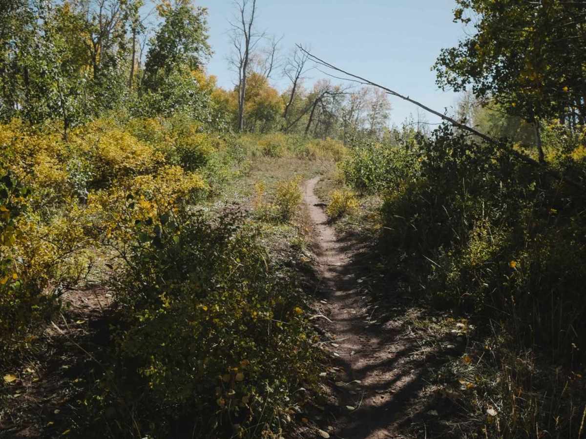 Upper Bench Trail photo 5