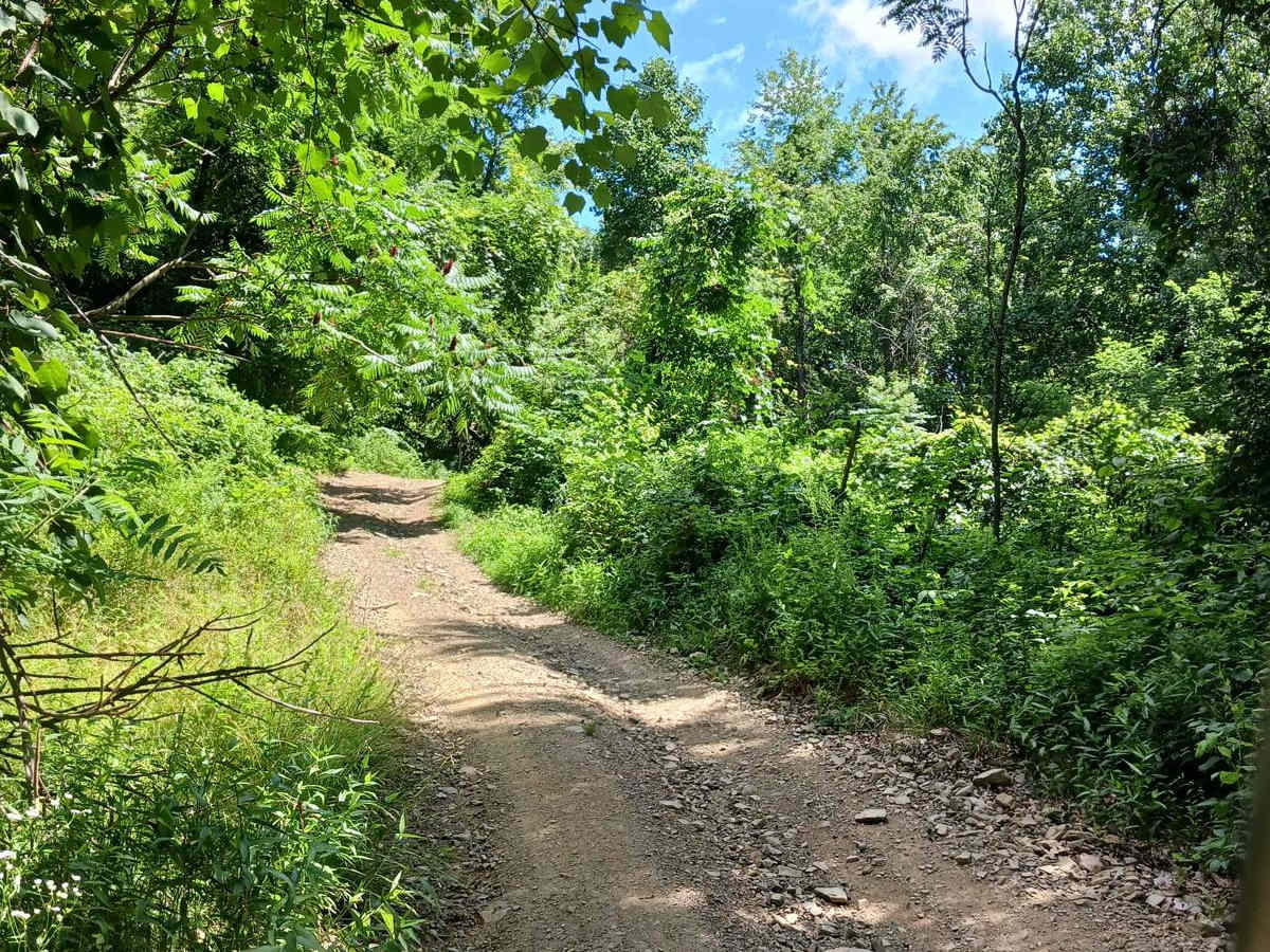 Lower Briar Path photo 2