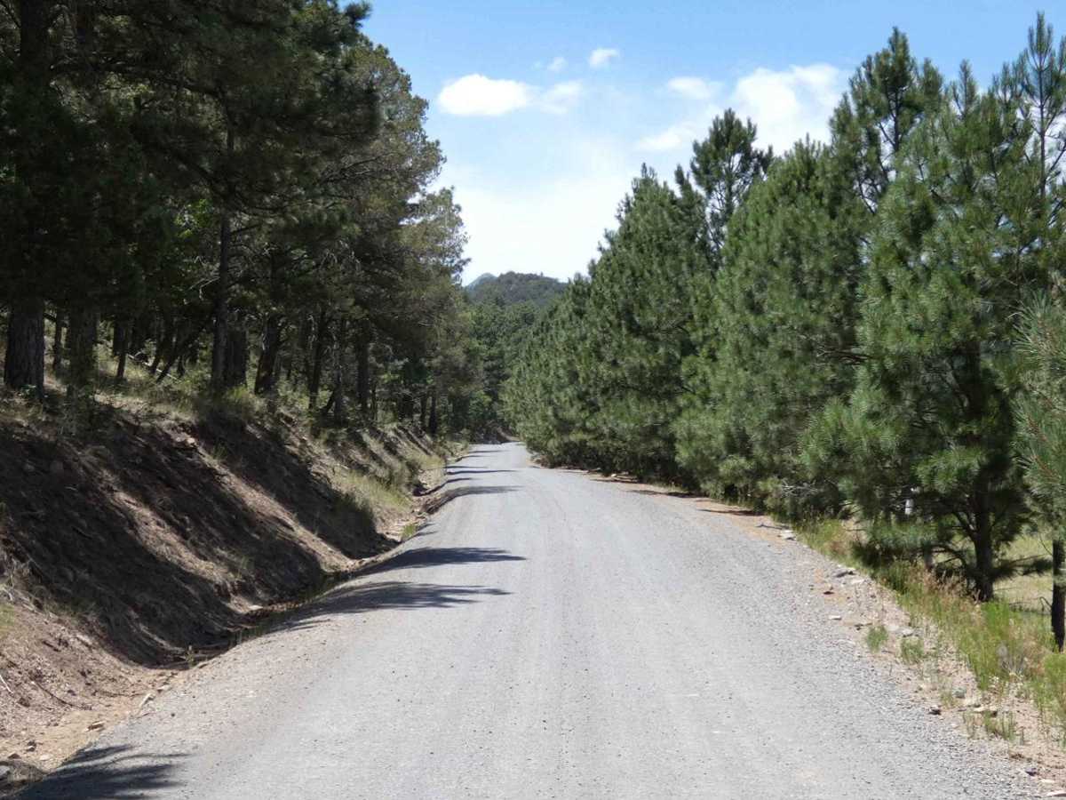 Nogal Canyon FSR-400 photo 2