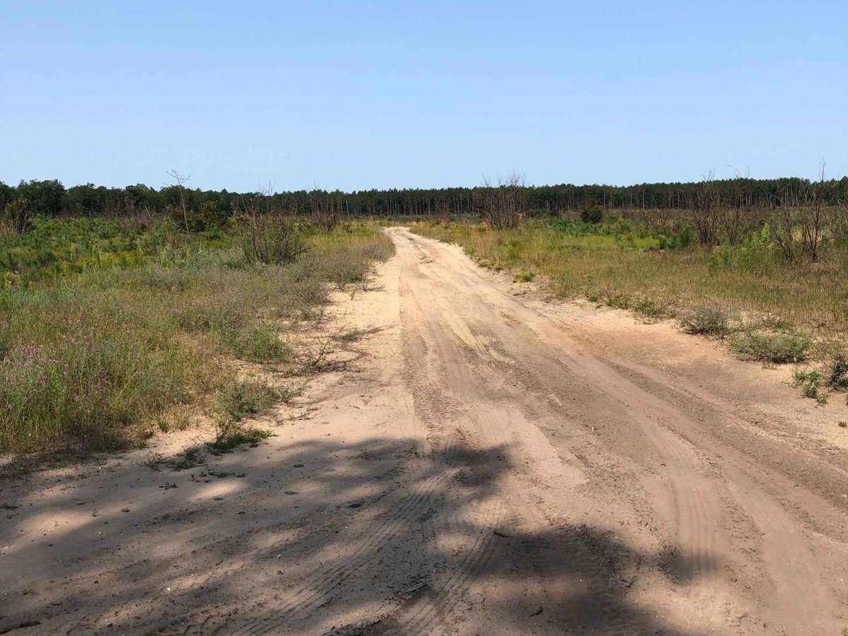 Ray Highway trail photo