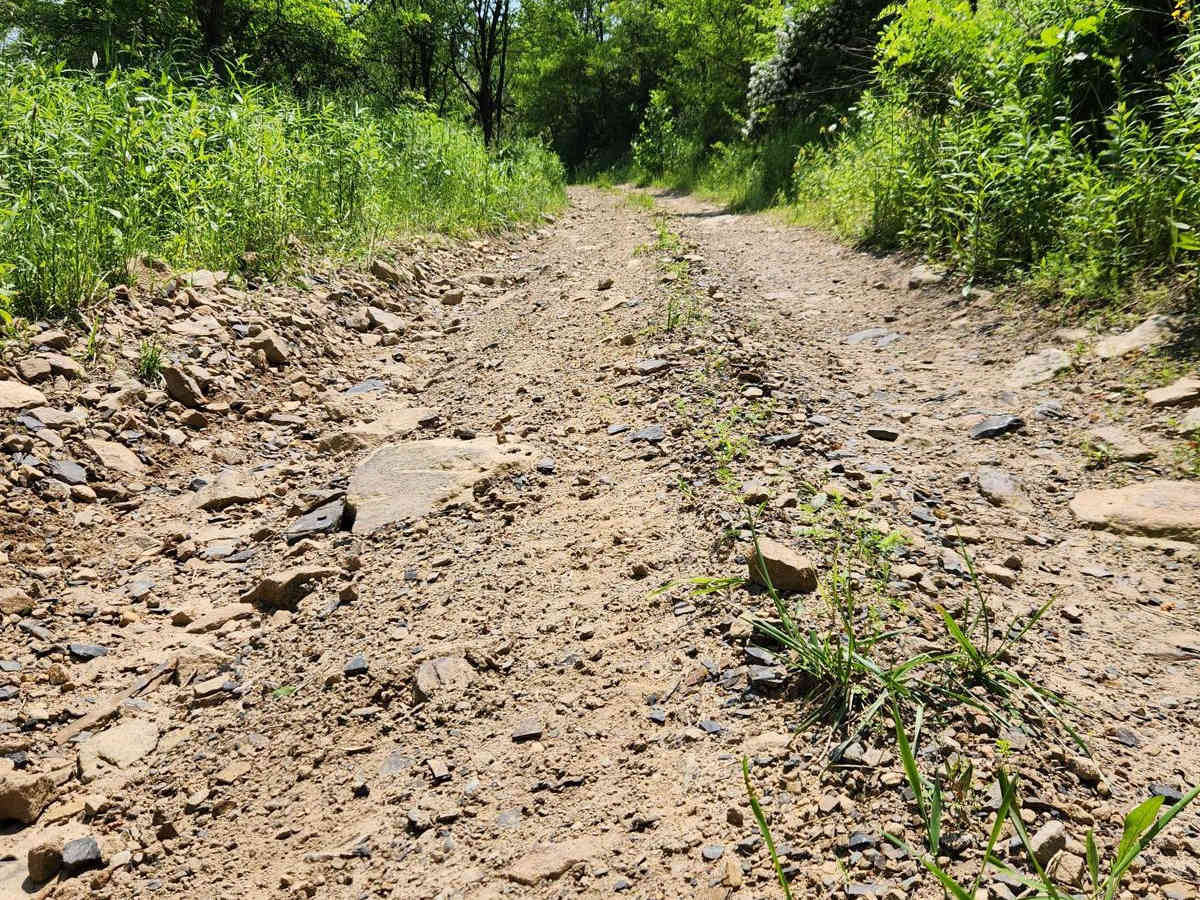 Trail 13A - Rock Run Recreation Area photo 4
