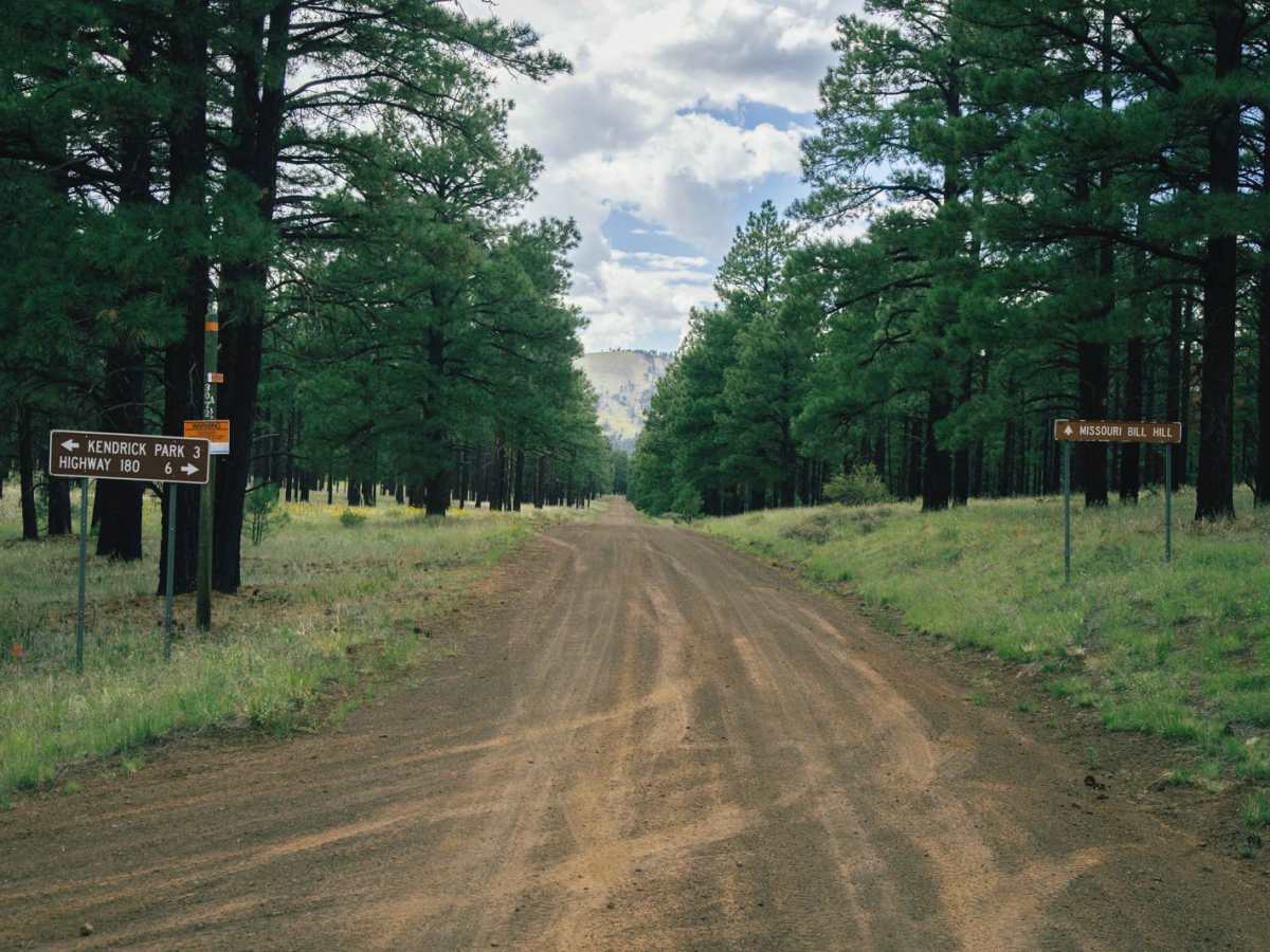 Curley trail photo