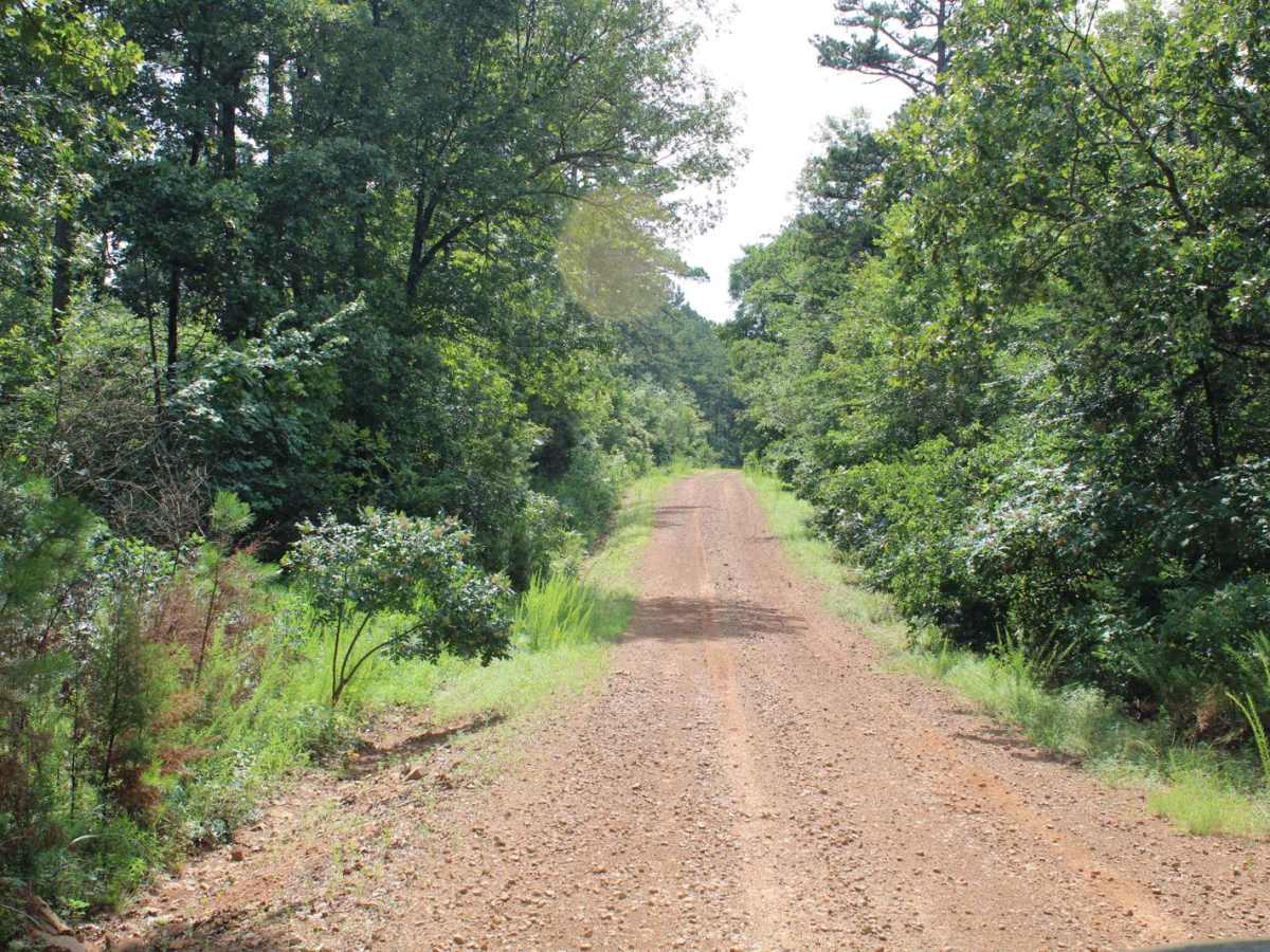 Girard Road to White Oak Road photo 3