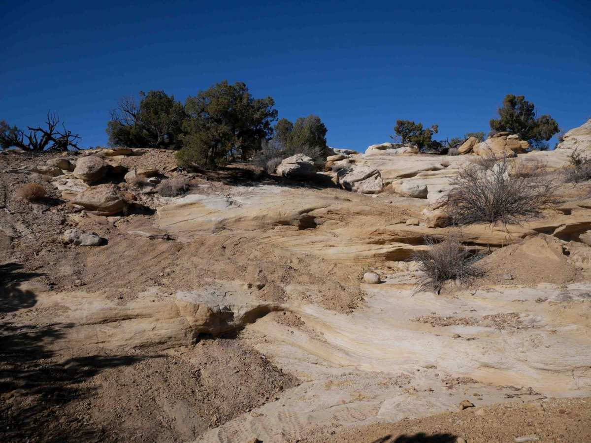 Arch Trail photo 4