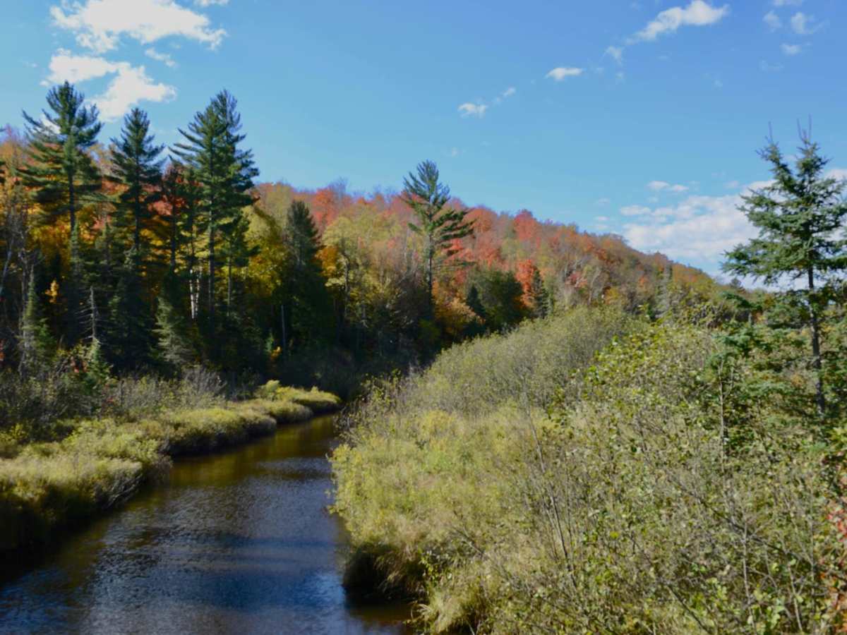 Dishno Road trail photo