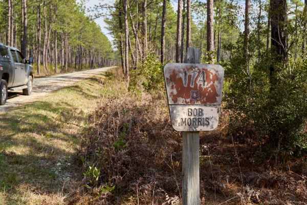 Bob Morris Road - FSR174