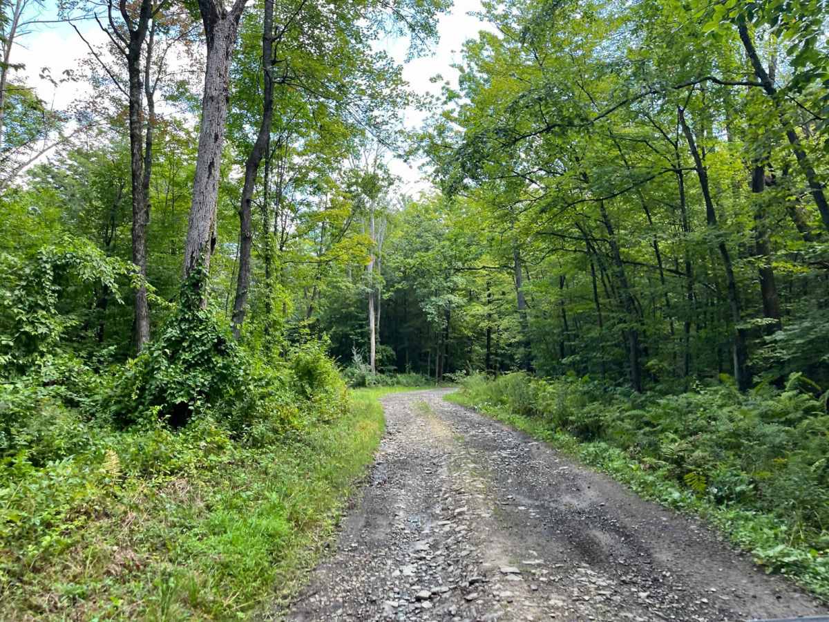 Cabin Road photo 5