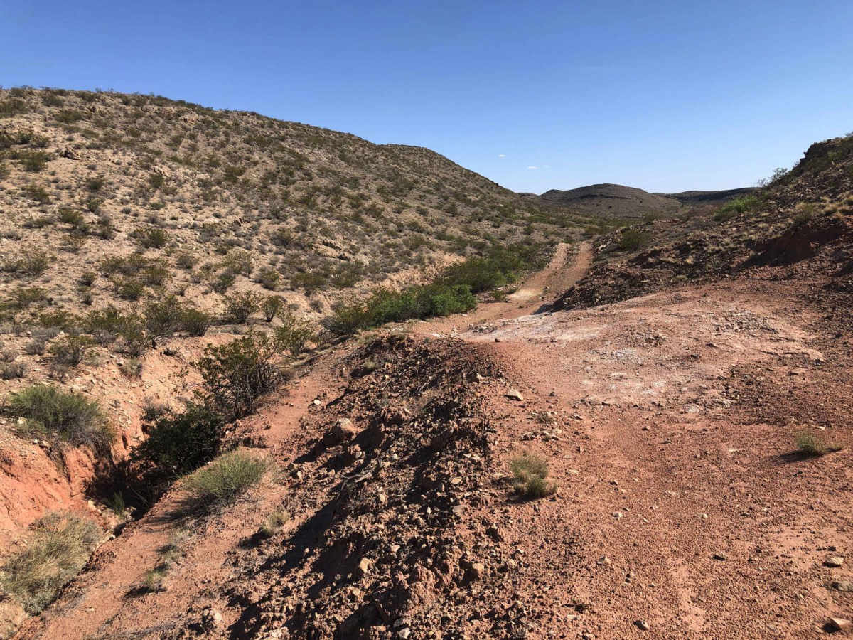 Coyote Exit photo 5