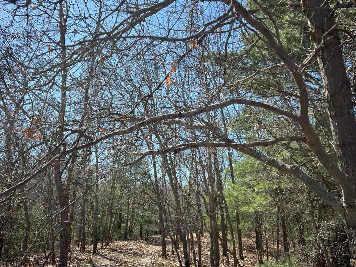 Ewing Hill photo 4