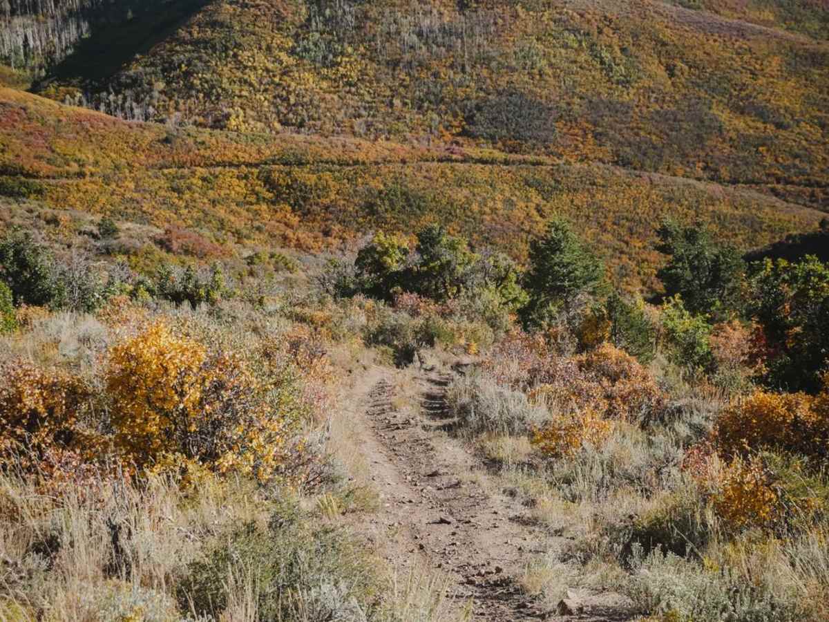 BLM Route 8322 photo 3