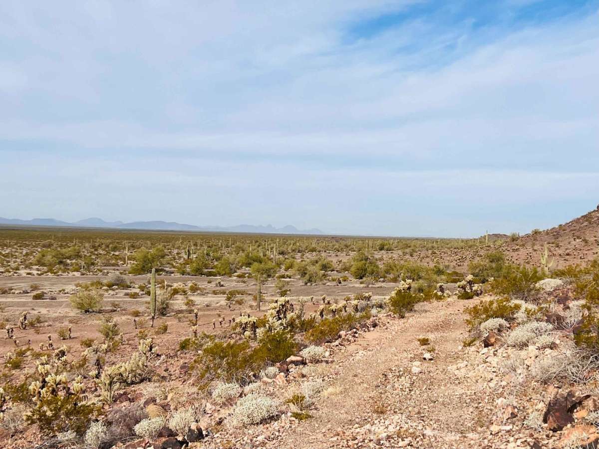 Rocks, Mines, and Cactus | Off-Road Trail Maps, Difficulty, Trail ...