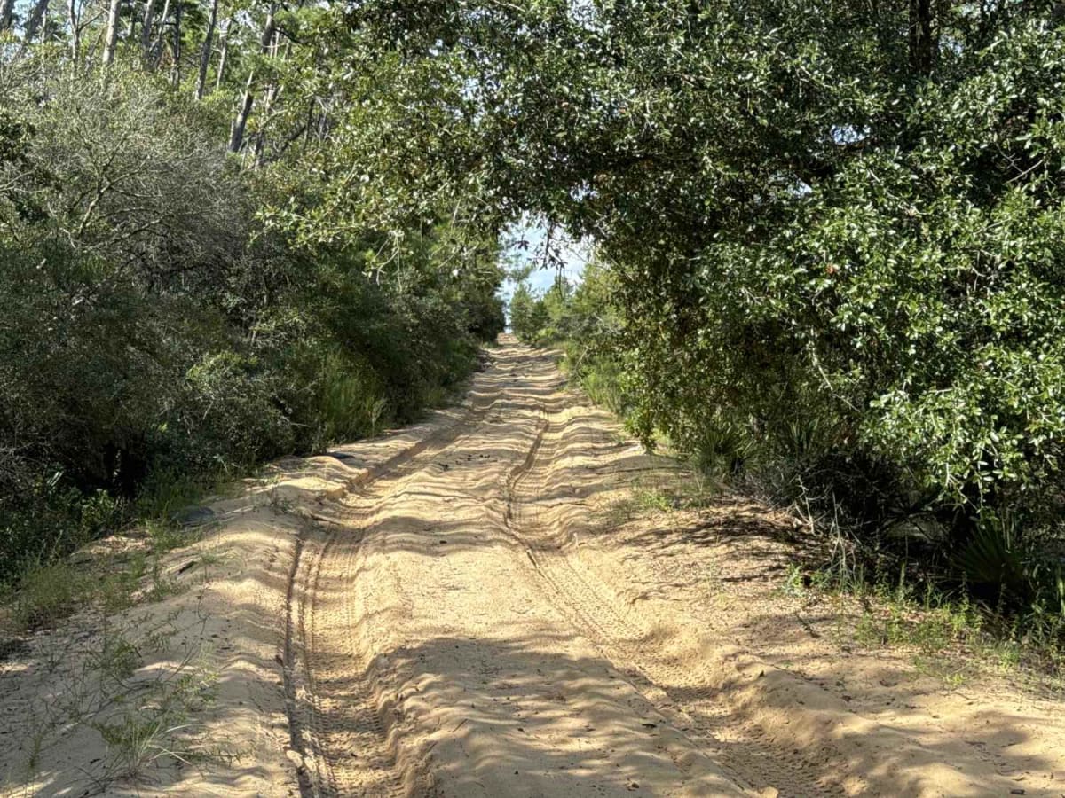 High Tension Road - ONF 22-0.3/5-10.2 trail photo