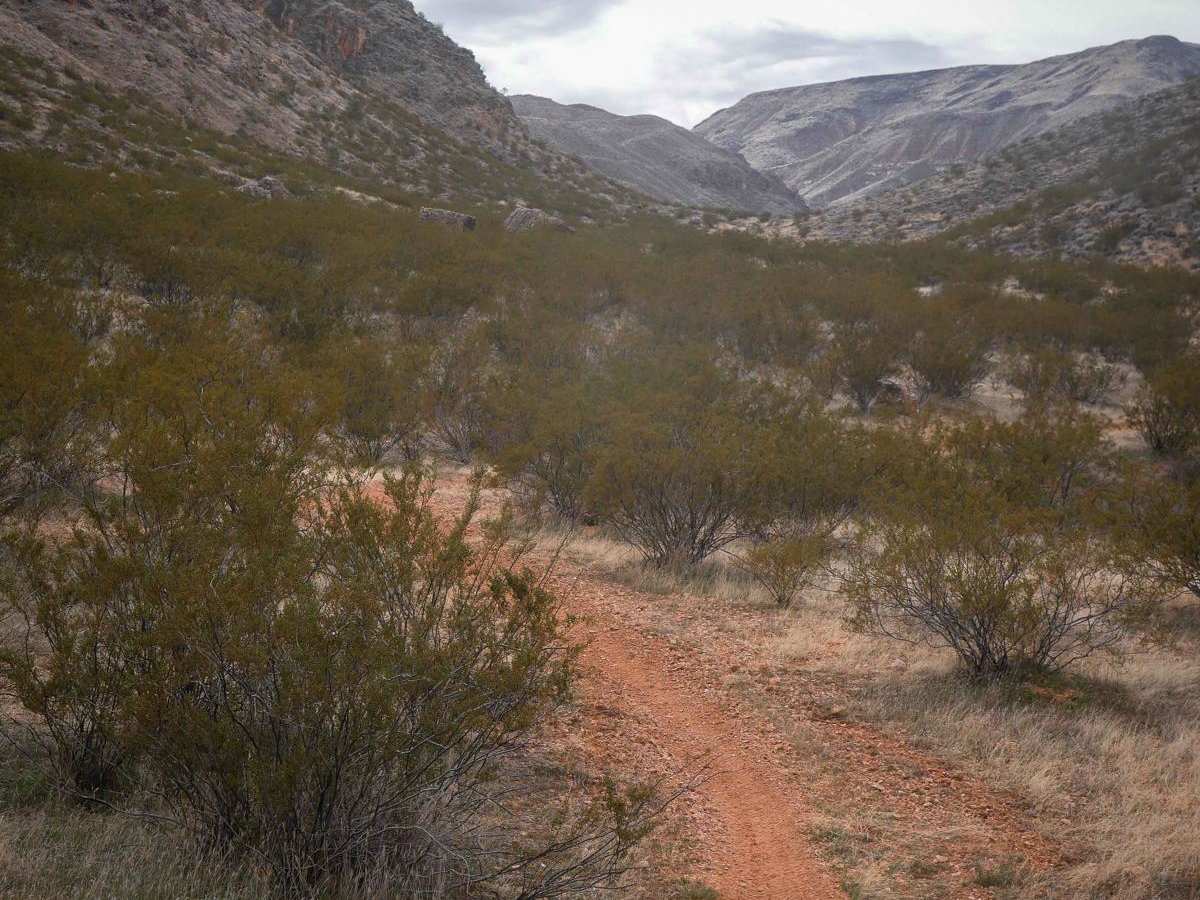 Dutchman Wash Single Track photo 6