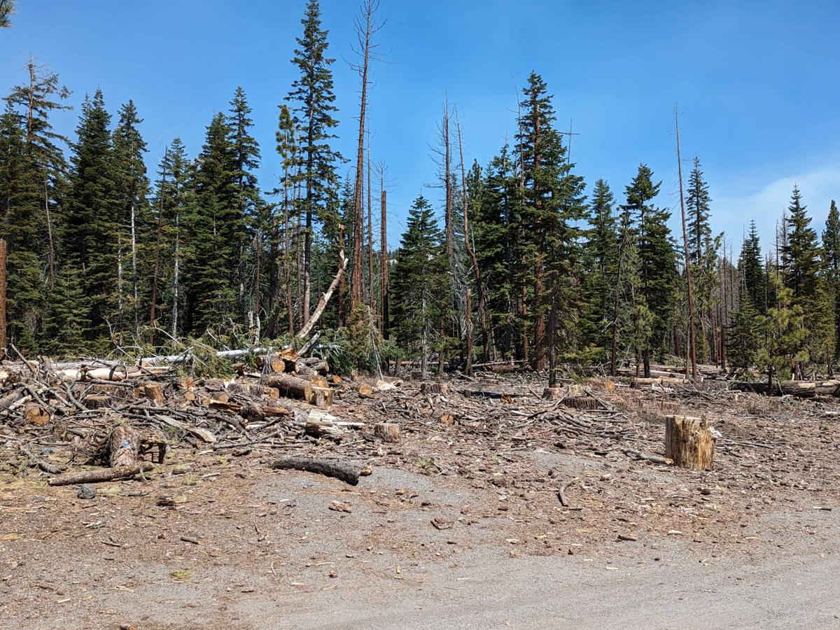 Inyo crater via Dry Creek Spur photo 3