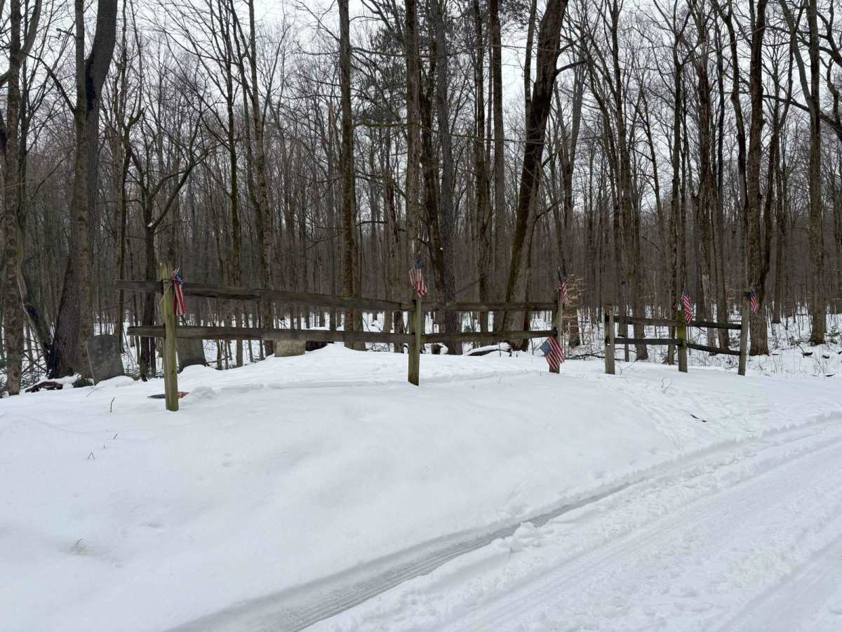 Bear Swamp photo 6