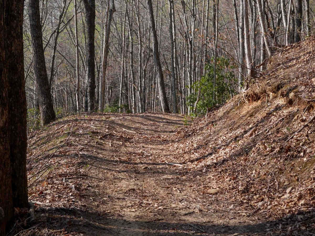 Sunset Connector Trail 9 (One-Way) photo 5