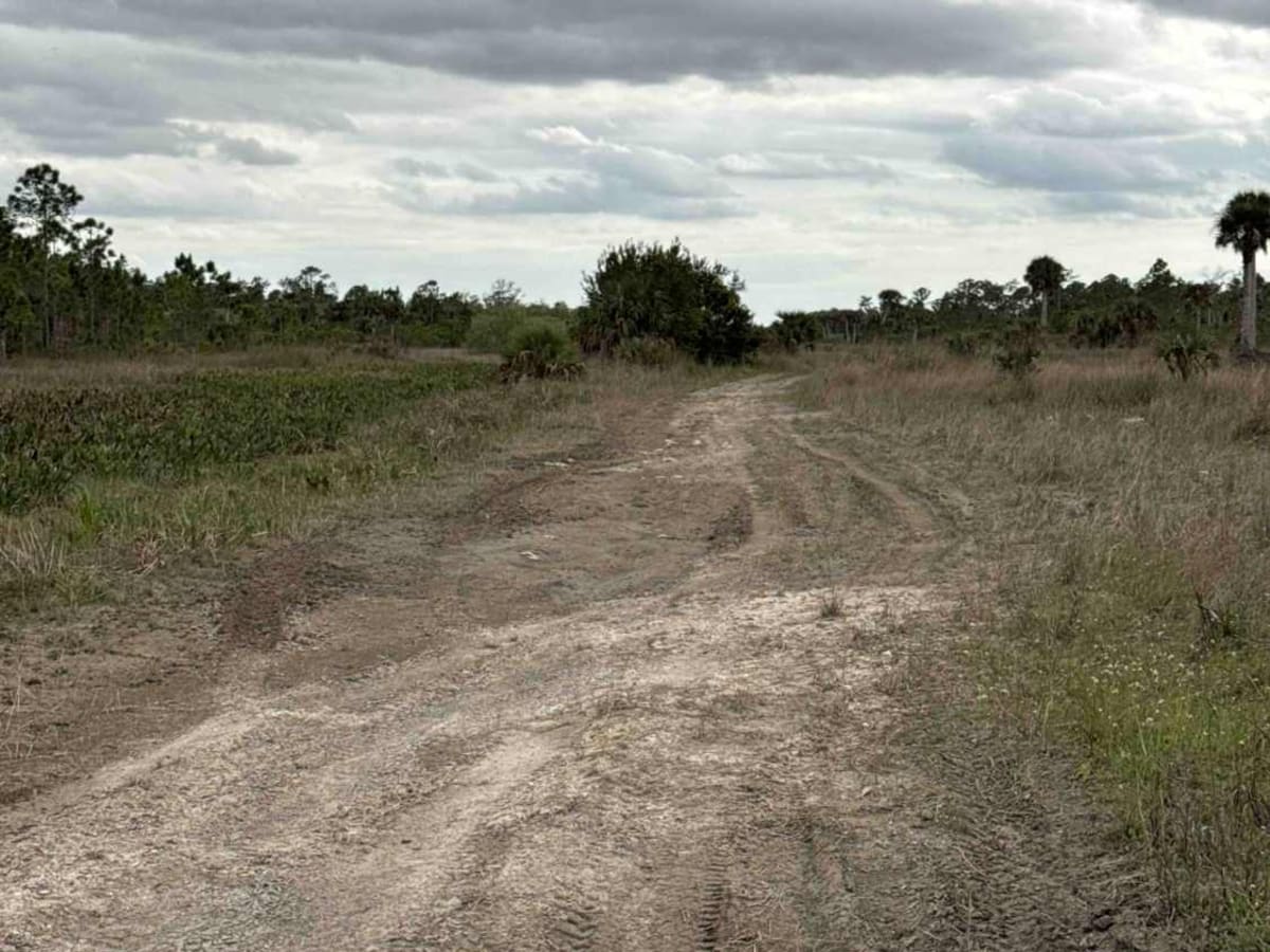 Boundary Trail photo 5