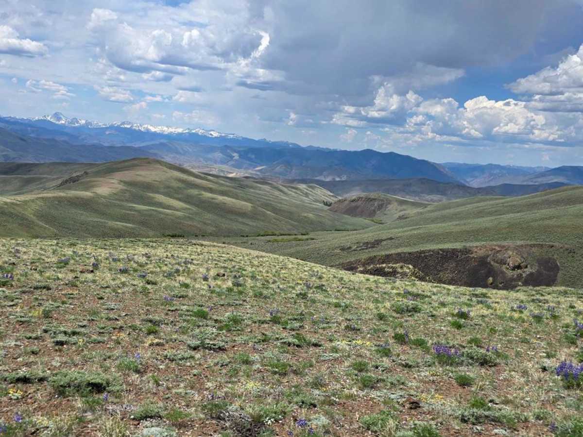 Horse Basin to Dry Gulch photo 2