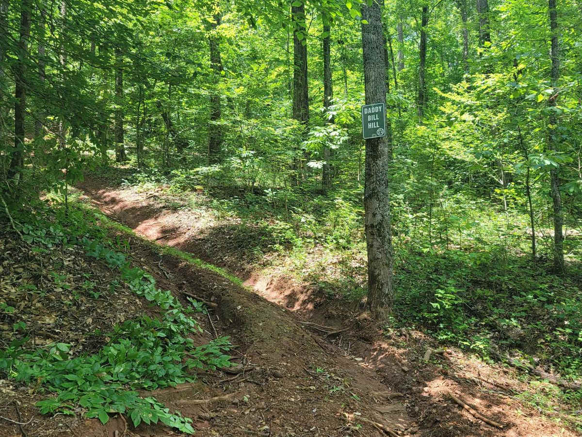 Daddy Bill Hill trail photo