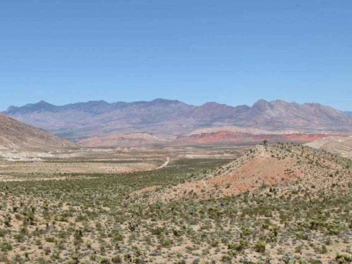 Devil's Cove Road photo 3