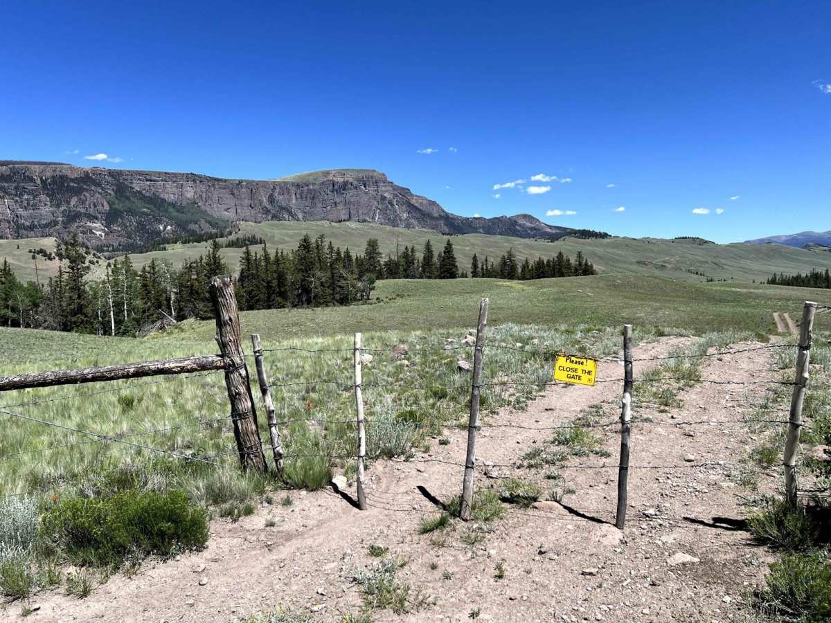 FR 556 - Clear Creek Ridge photo 2