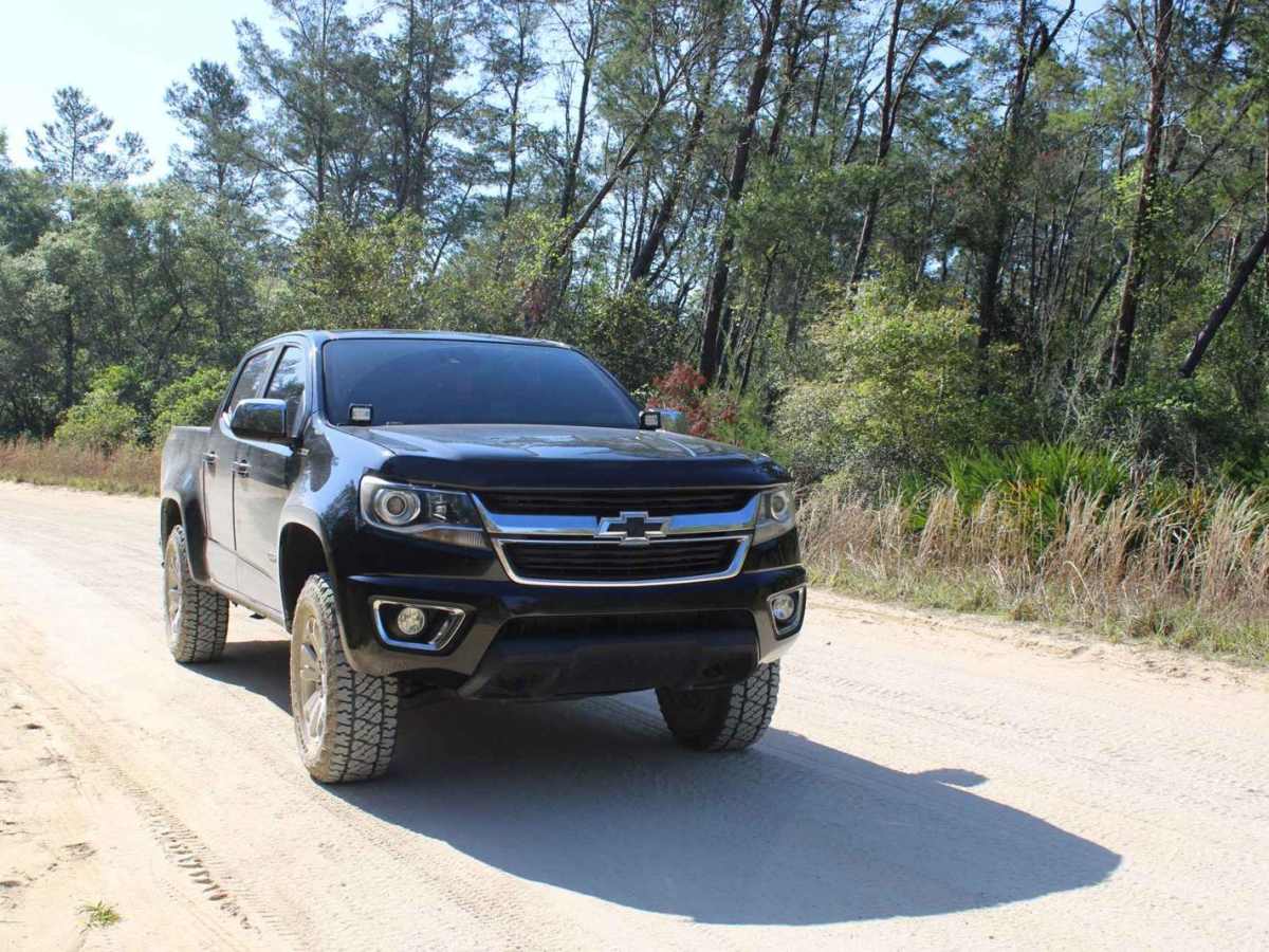 Ocala National Forest | Trail 50 photo 2