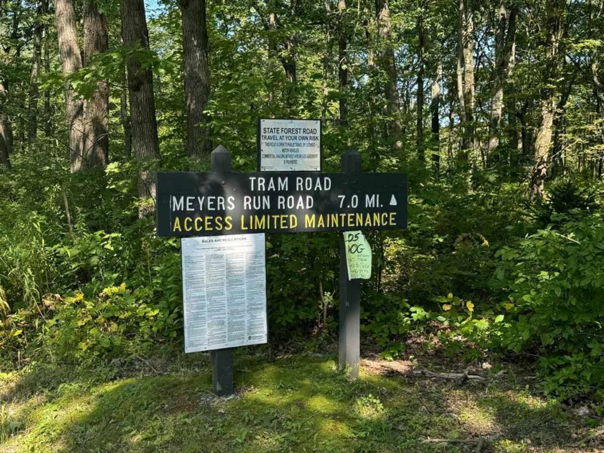 Tram Road trail photo