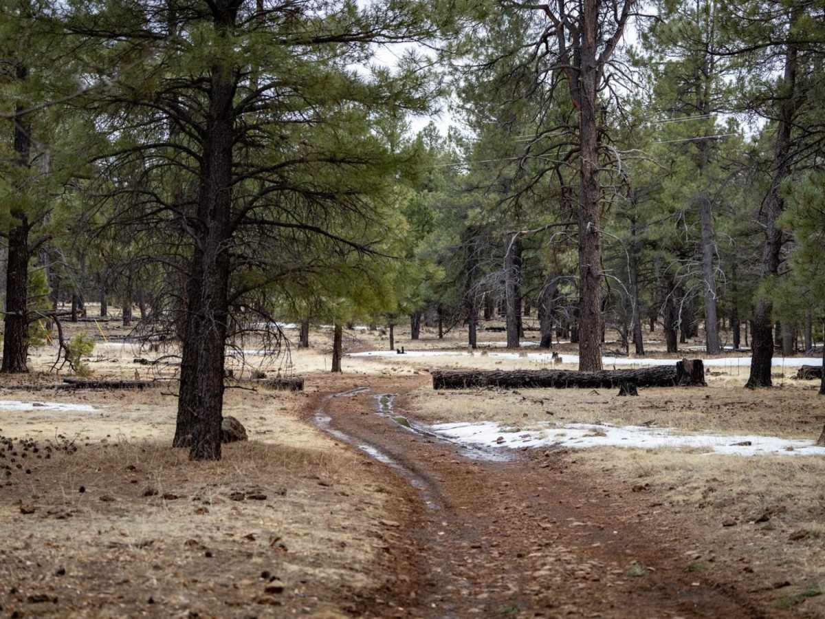 Deer Run Trail photo 5