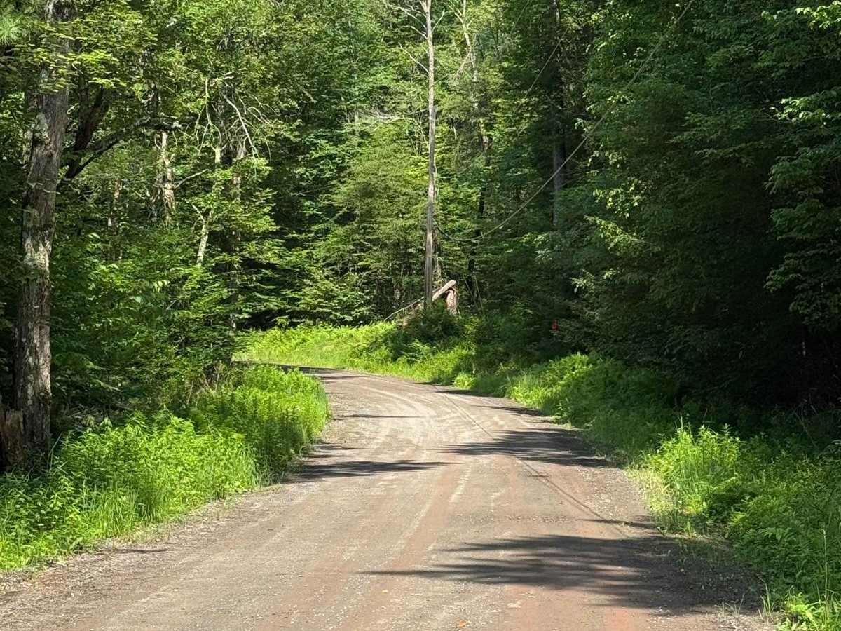 Cooley Creek Road photo 6