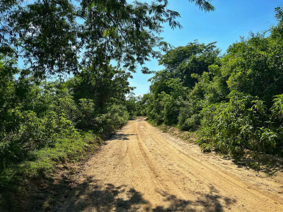 San Felipe trail photo