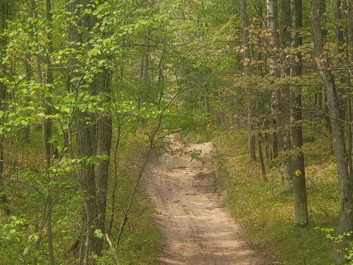 Ogemaw Hills ORV Route photo 4
